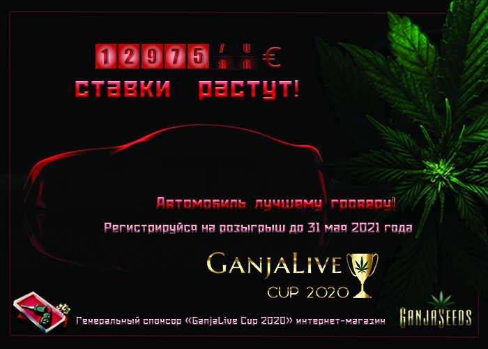 Главный конкурс от GanjaLive «GanjaLive Cup 2020» продолжается!