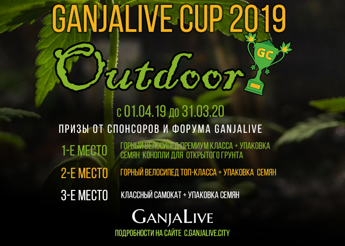 GanjaLive Cup 2019 - Outdoor»: 