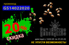 GanjaSeeds: В день всех влюбленных скидка 20%