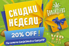 20% скидки на самые горячие позиции!