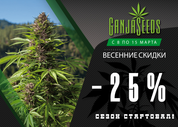 Весенняя неделя распродажи! Скидки 25% на семена конопли и споровые отпечатки