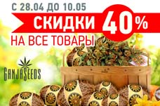 ​Скидка 40%: Наши «орешки» самые крепкие и самые доступные!